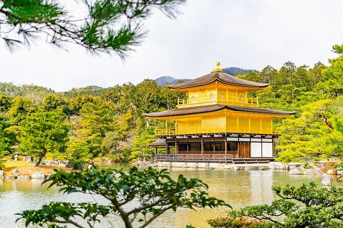 Kyoto Private Tour With National Licensed Guide - Accessibility and Requirements