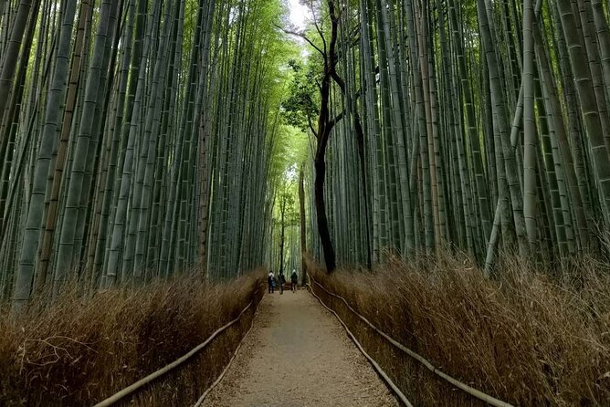 Kyoto Private Tour With National Licensed Guide - Frequently Asked Questions