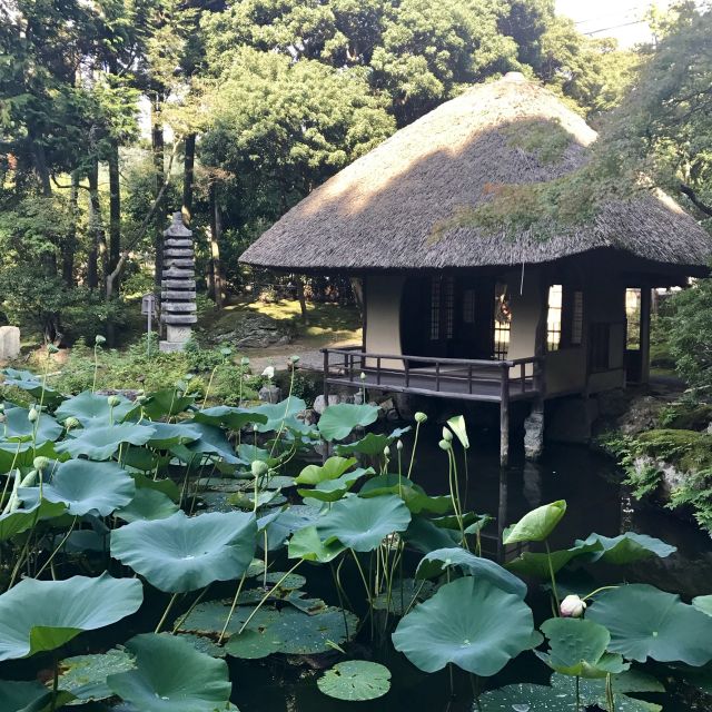 Kyoto: Tea Ceremony in a Japanese Painters Garden - Minimum Age and Dress Code