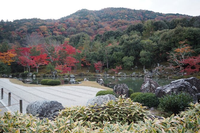 Kyoto Tour: Fushimi Inari Bamboo Forest and Kinkakuji - Key Points