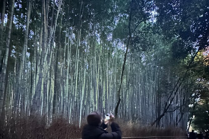 Kyoto Tour: Fushimi Inari Bamboo Forest and Kinkakuji - Booking Information