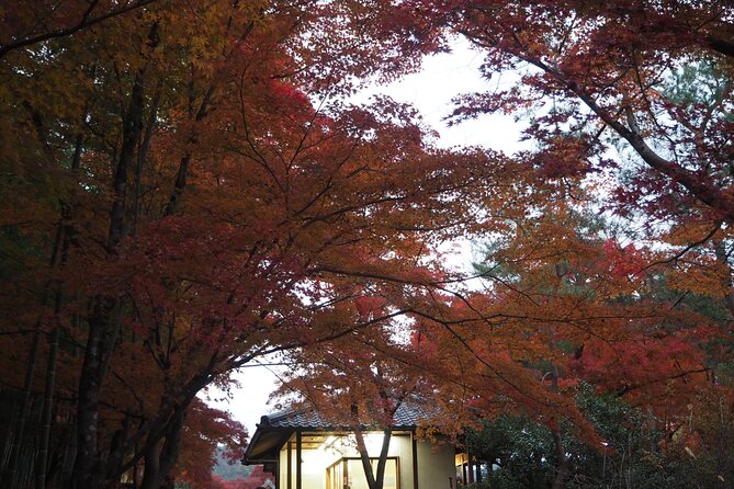 Kyoto Tour: Fushimi Inari Bamboo Forest and Kinkakuji - Wandering Through the Bamboo Forest