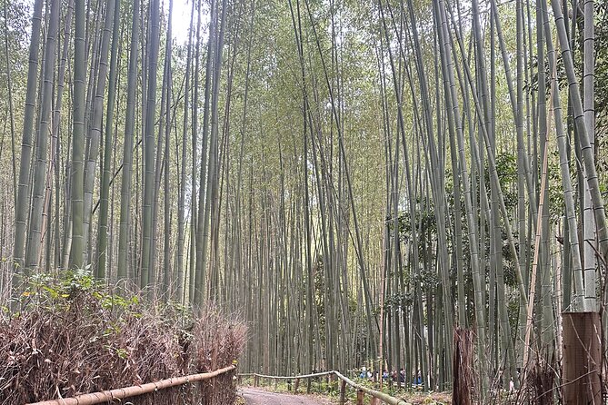 Kyoto Tour: Fushimi Inari Bamboo Forest and Kinkakuji - Marveling at the Kinkakuji Temple