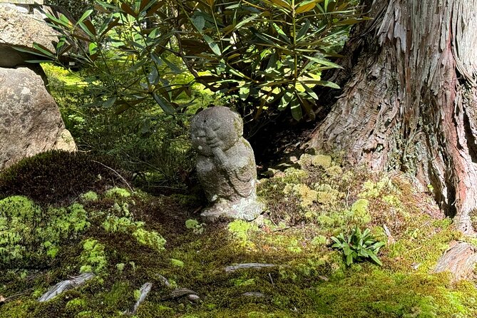 Kyoto: Tranquil Escape to Ohara Satoyama and Sanzen-in Temple - Navigating the Meeting and End Points