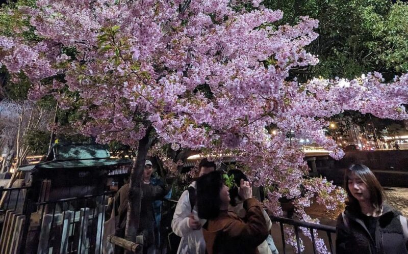 Kyoto: Unscripted Walking Tours W/Locals 3h 5h 8h - Local Guide Insights