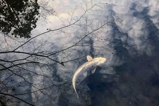 Kyoto: Zen Garden, Zen Mind (Private) - Exploring Kyotos Magical Gardens