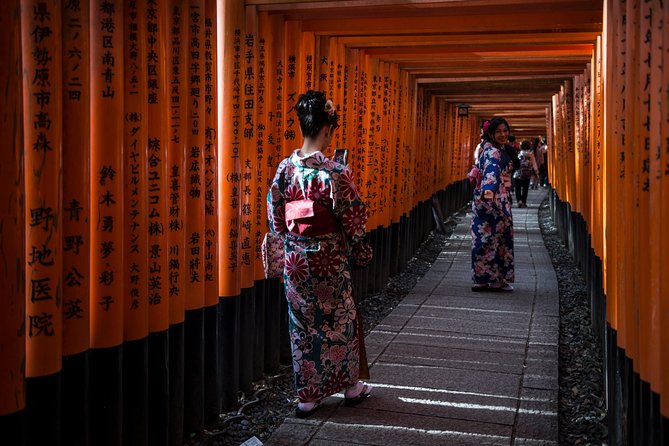 Kyotos Top City Highlights: 2-Day Private Tour Experience - Nijo Castle: Shoguns Lavish Residence