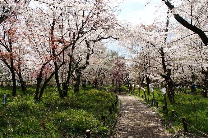 Kyotos World Heritage Walking Tour From Kyoto St. - Meeting Point and Itinerary