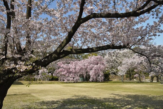 Kyotos World Heritage Walking Tour From Kyoto St. - Getting There