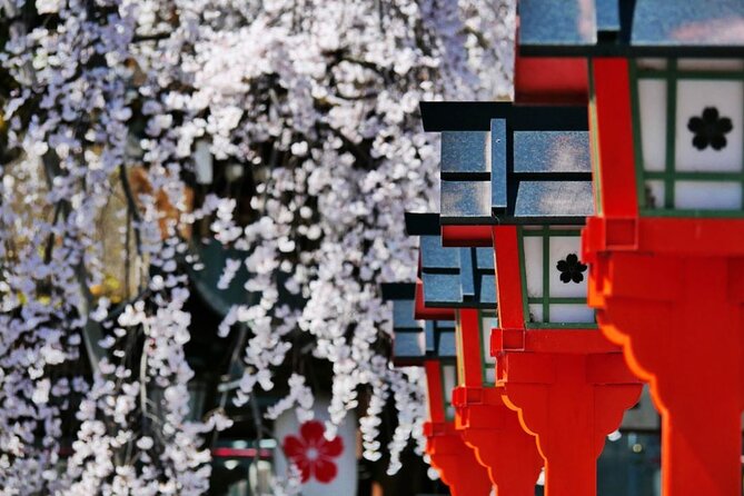 Kyotos World Heritage Walking Tour From Kyoto St. - What to Expect