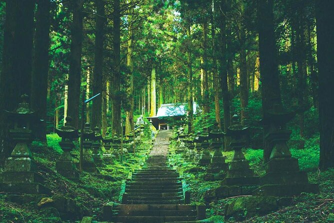 Kyushu Day Trip to Takachiho Gorge and Shrines From Fukuoka - Important Policies and Guidelines