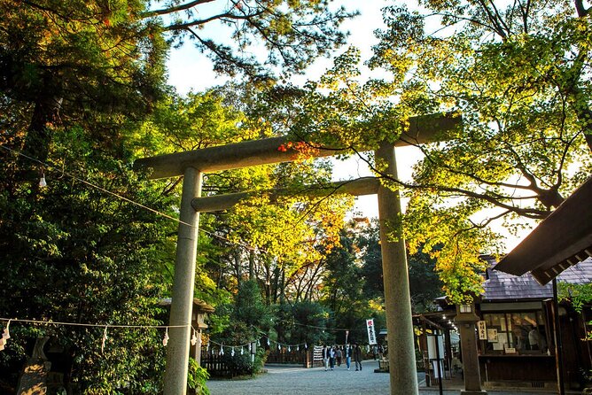 Kyushu Day Trip to Takachiho Gorge and Shrines From Fukuoka - Schedule Changes and Conditions