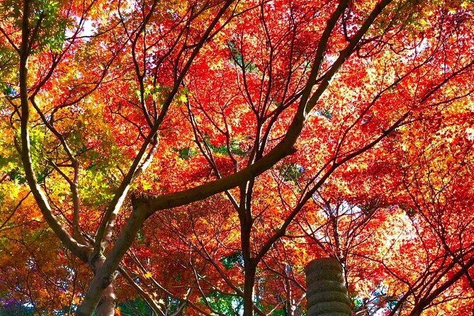 Kyushu Highlights Tour Temples Hot Springs and Anime Adventure - Key Points