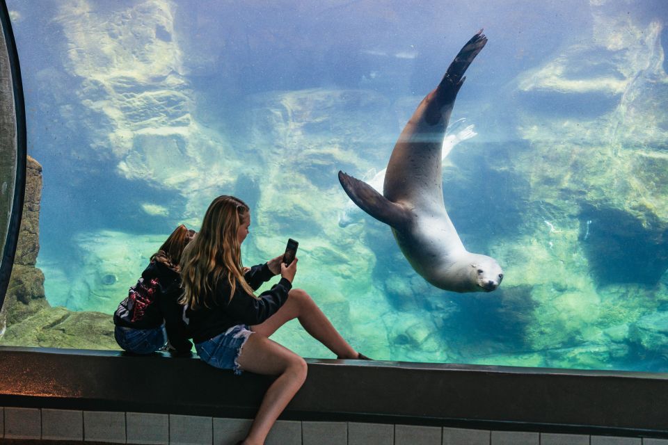 LA: Aquarium of the Pacific Skip-the-Line Entry - Pricing and Booking