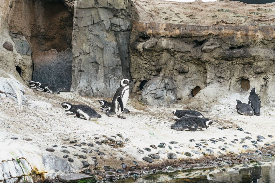 LA: Aquarium of the Pacific Skip-the-Line Entry - Frequently Asked Questions