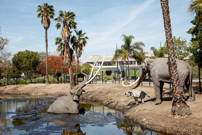 La Brea Tar Pits and Museum Admission Ticket With Excavator Tour - Visitor Information