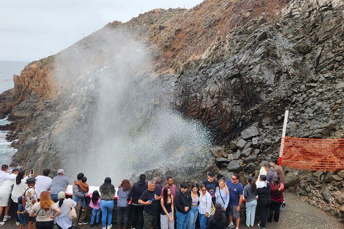 La Bufadora Shore Excursion with Tacos and Tequila Adults Only - Introduction