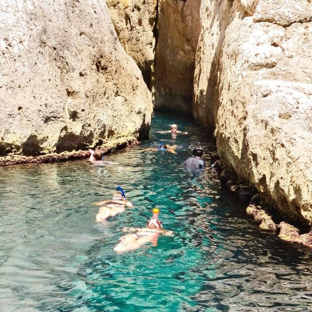 La Ciotat Boat Tour to the Calanques National Park - Tour Features
