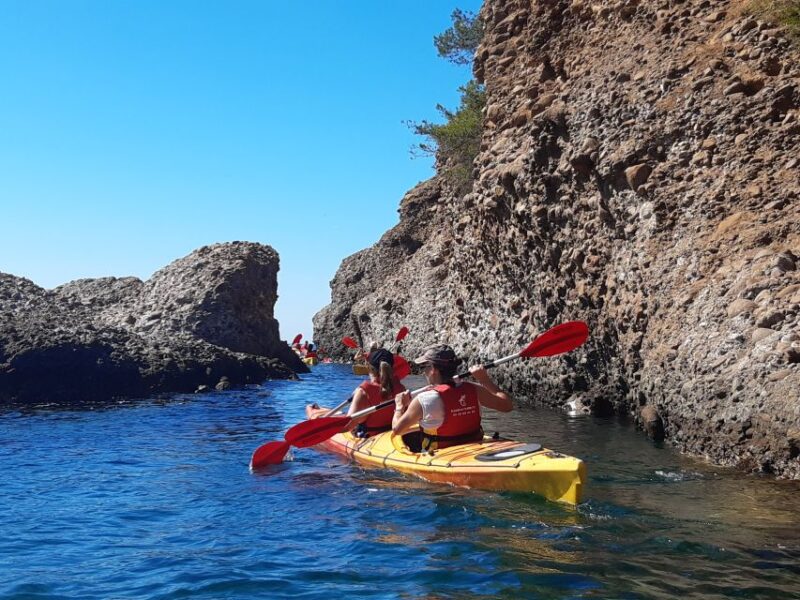 La Ciotat: Calanques National Park Guided Kayak Tour - Customer Feedback and Ratings