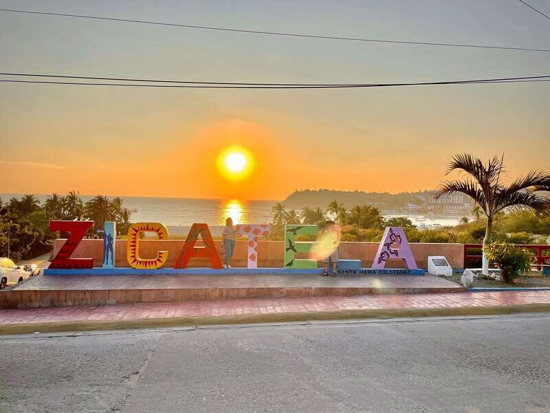 La Crucecita: Magic Lagoon Bioluminescence and Turtles Tour - Key Points