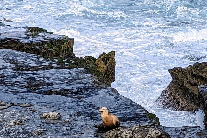 LA Day Trips to Casinos, Palm Springs, San Diego, Santa Barbara - A Closer Look at This LA Day Trip Service