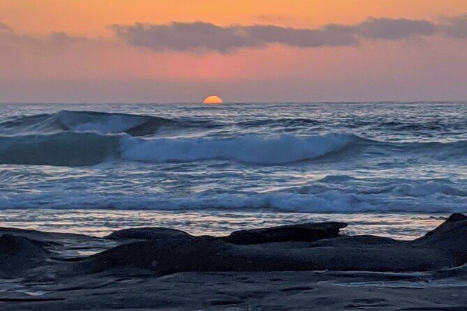 LA Day Trips to Casinos, Palm Springs, San Diego, Santa Barbara - The Experience: Comfort, Flexibility, and Local Insights