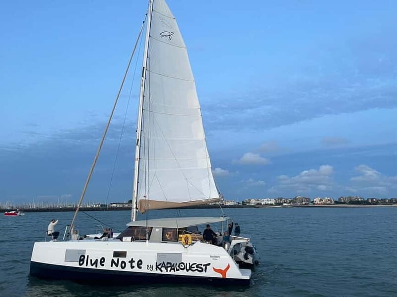 La Flotte en Ré - 4 hrs Sailing Catamaran Half-Day Cruise - The Value of This Experience