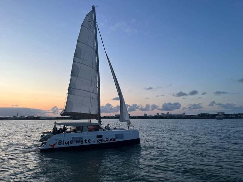 La Flotte en Ré - 5H30 Sailing Catamaran Long Cruise - An Authentic Coastal Voyage: What to Expect