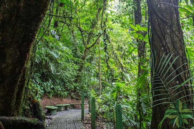 La Fortunas 3 Essentials Private Tour - Physical Fitness