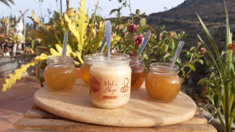 La Gomera: Flower Guided Tour With Butterflies and Bees - Customer Feedback