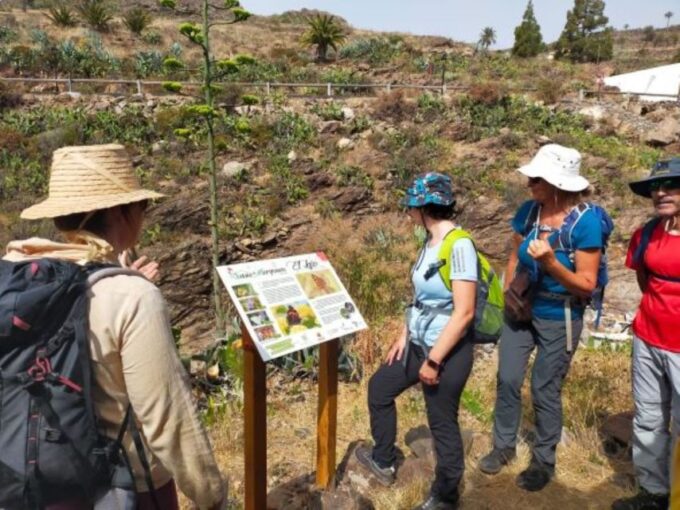 La Gomera: Flower Guided Tour With Butterflies and Bees - Exploring Flora and Fauna
