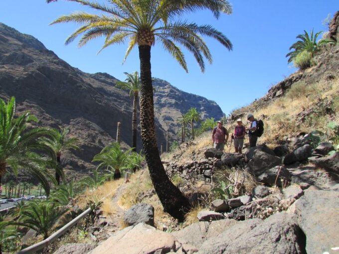 La Gomera: Flower Guided Tour With Butterflies and Bees - Beekeeping Experience