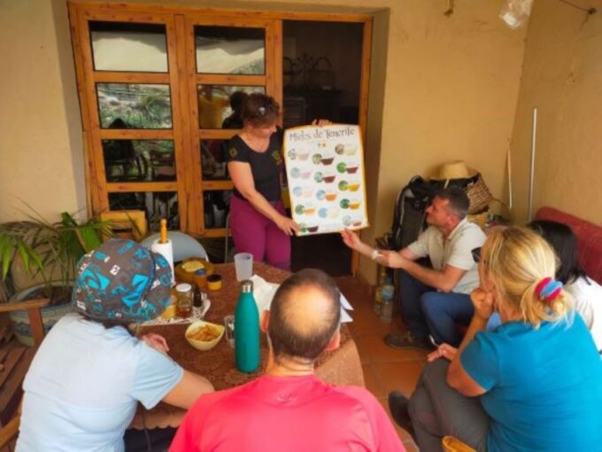 La Gomera: Flower Guided Tour With Butterflies and Bees - Honey Tasting