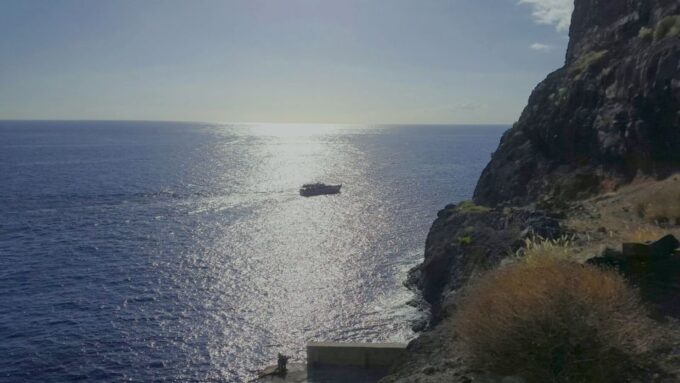 La Gomera: Whale Watching Tour on a Vintage Boat - Booking and Availability