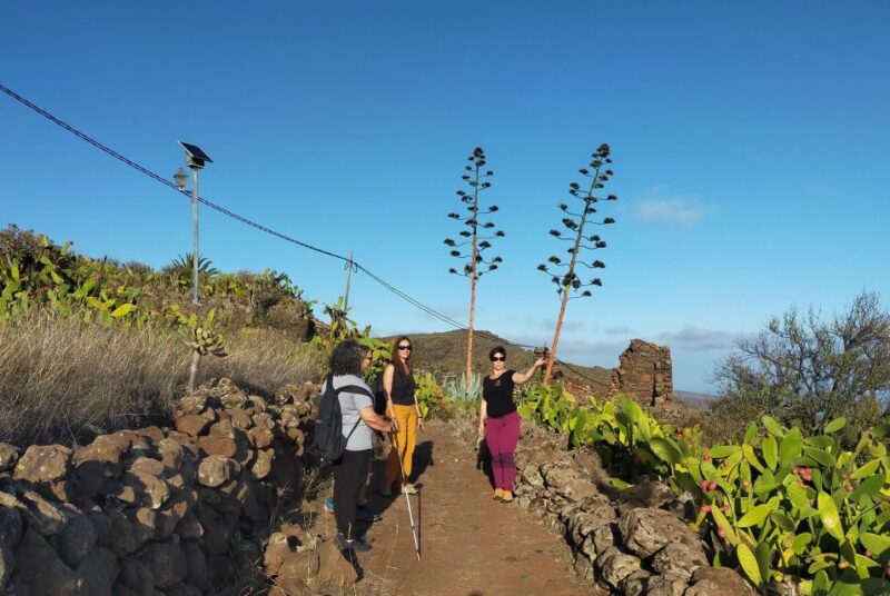 La Gomera: Winery Visit and Tasting Tour - Winery Highlights