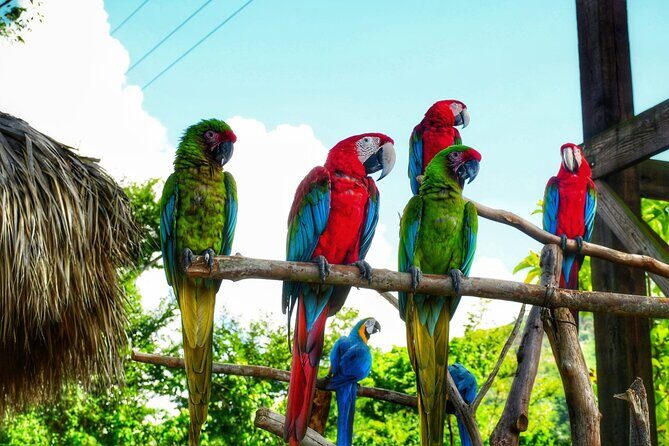 La Hacienda Park Tour - Key Points