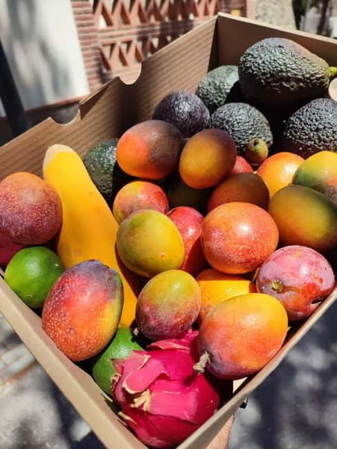 La Herradura: Private Visit to Europe's Only Coffee Farm - Key Points