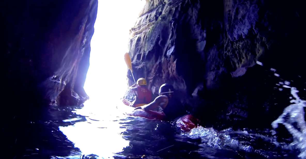 La Jolla: 2.5-Hour Kayak and Snorkel Tour - Spotting Wildlife Underwater