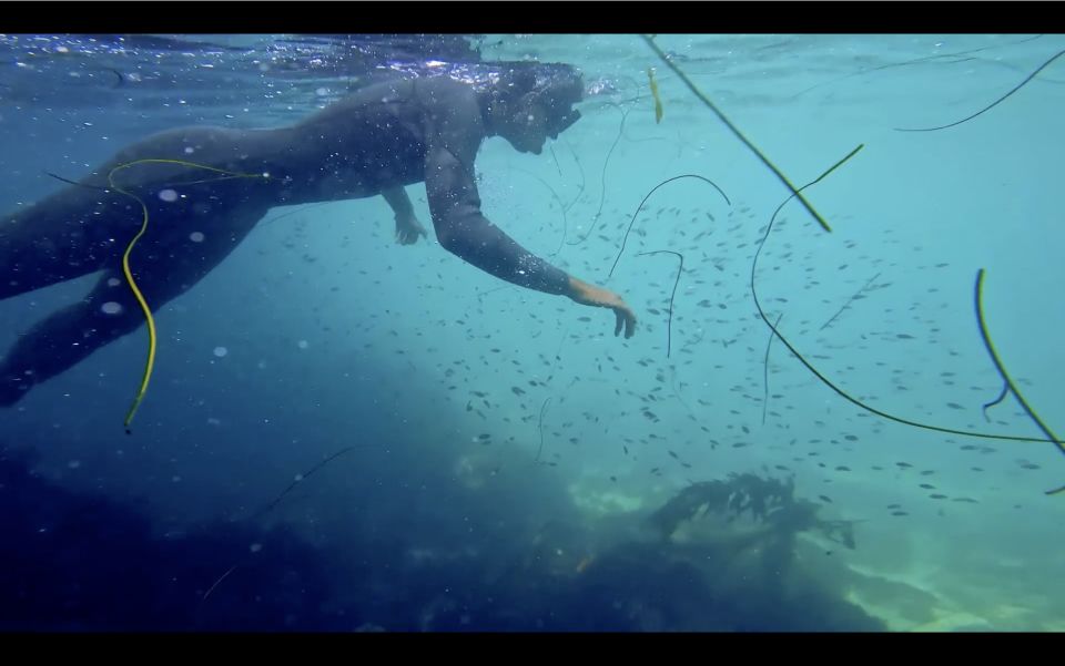 La Jolla: 2.5-Hour Kayak and Snorkel Tour - Snorkel Gear for the Day
