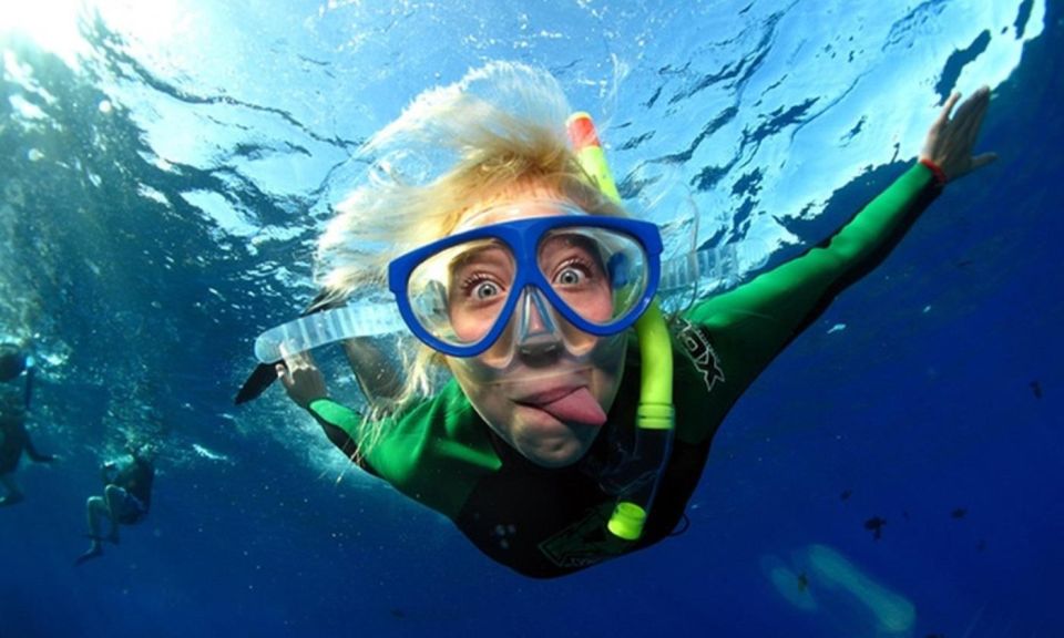 La Jolla: Cove and Caves Snorkeling Tour With Sea Lions - Key Points