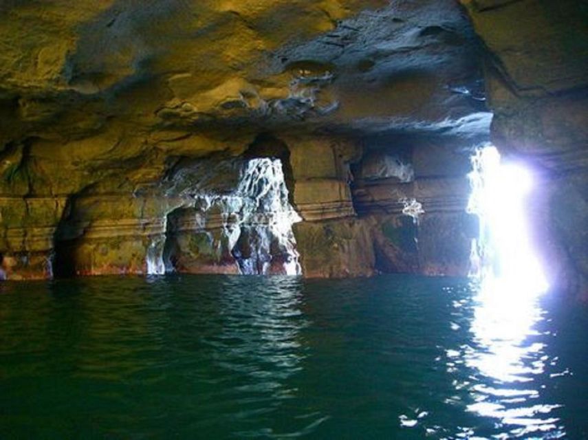 La Jolla: Cove and Caves Snorkeling Tour With Sea Lions - Suitability