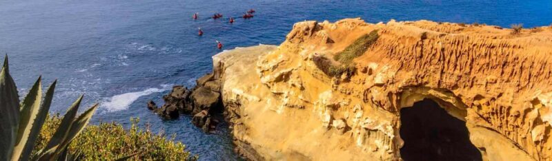 La Jolla: Full-Day Snorkel Gear Rental with Wetsuit Option - What You Can Expect from This Snorkel Rental