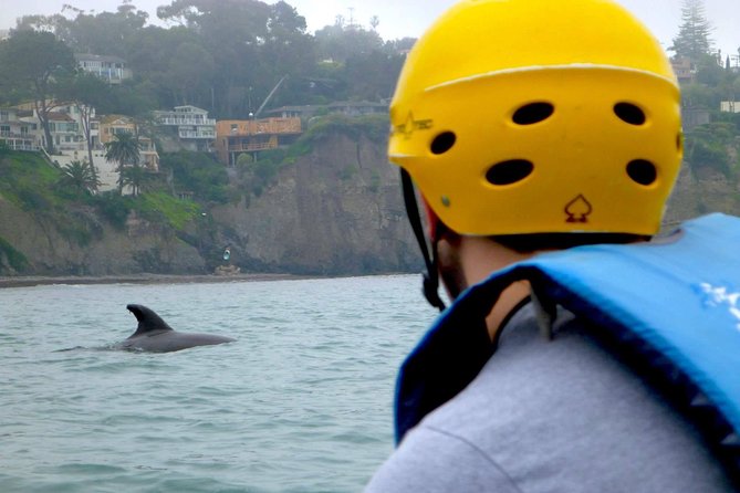 La Jolla Sea Caves Kayak Tour For Two (Tandem Kayak) - Wildlife Encounters