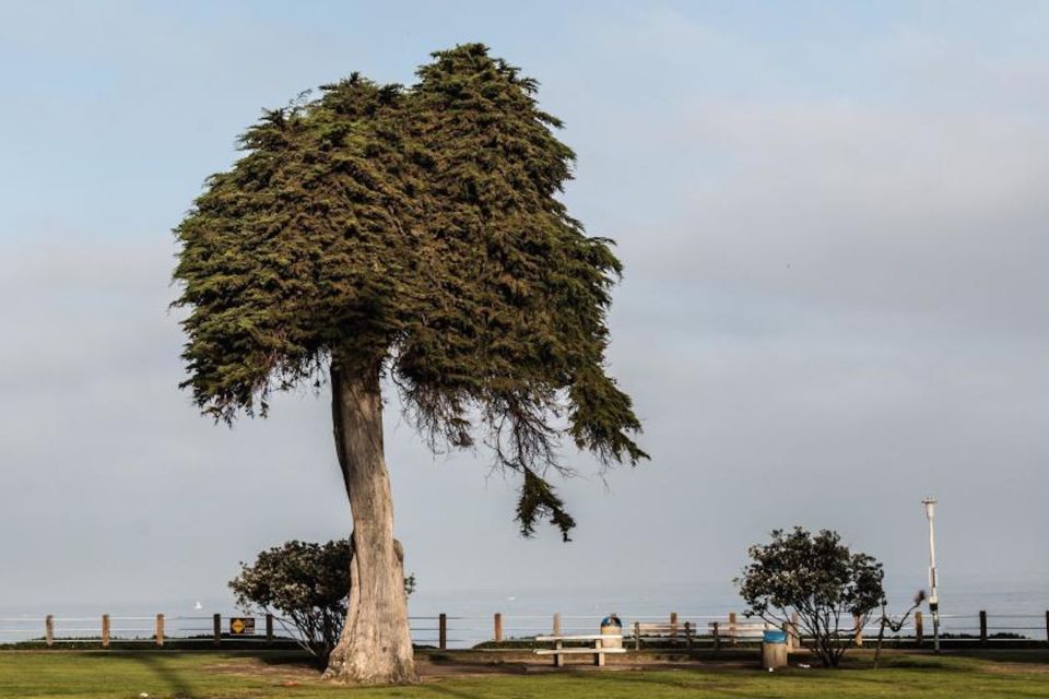 La Jolla: Self-Guided Smartphone Audio Tour - Getting to the Meeting Point