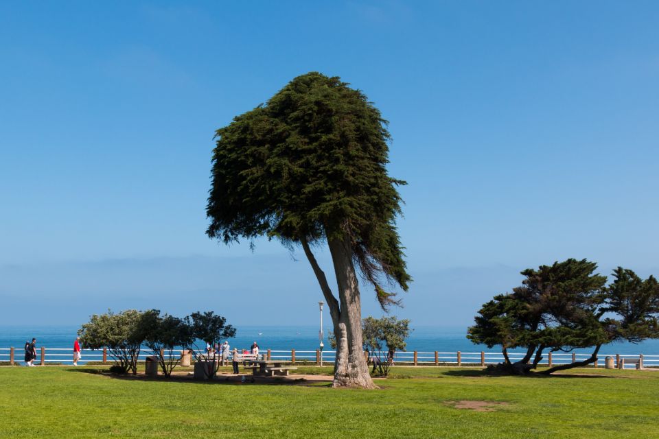 La Jolla: Self-Guided Walking Audio Tour - Highlights of the La Jolla Tour