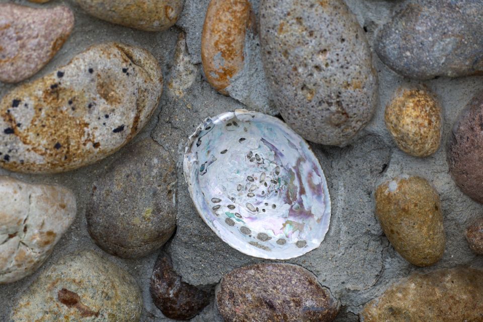 La Jolla: Self-Guided Walking Audio Tour - Exploring La Jollas Best Spots
