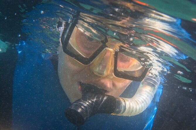 La Jolla Snorkel with the Leopard Sharks - The Sum Up: Is It Worth It?