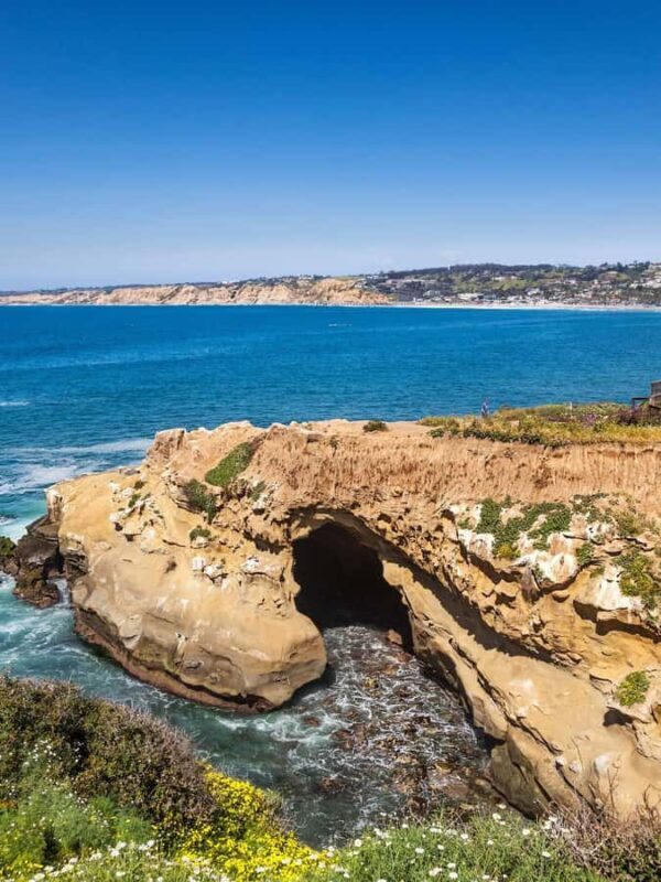 La Jolla - The Jewel of San Diego - Guided Walking Tour - Exploring La Jolla – The Jewel of San Diego – Guided Walking Tour