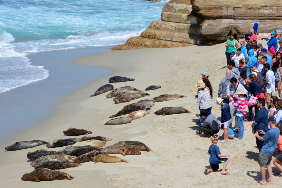La Jolla: Ultimate Self-Guided Combo Tour - Inclusions and Flexibility