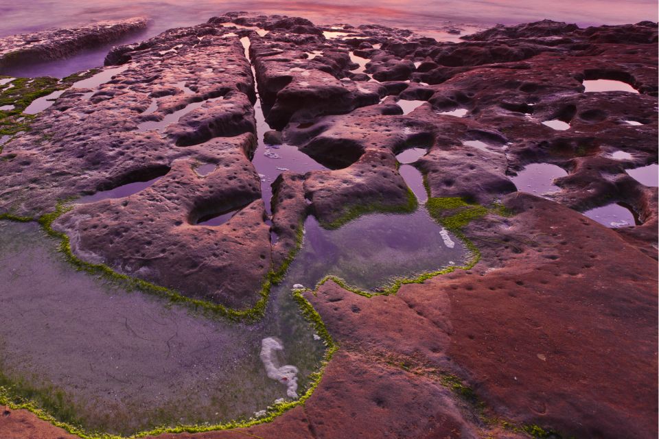 La Jolla: Ultimate Self-Guided Combo Tour - Frequently Asked Questions